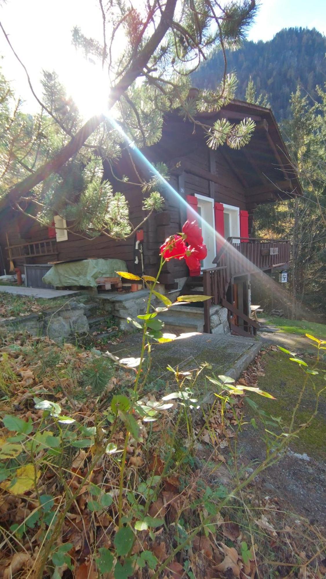Petit Chalet Rustique Et Bucolique Bovernier Bagian luar foto